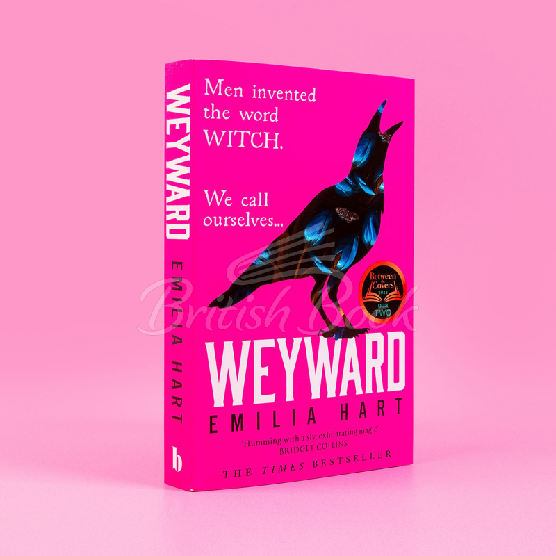 Книга Weyward изображение 3