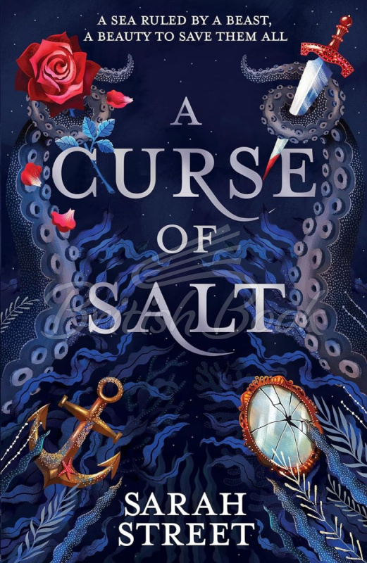 Книга A Curse of Salt изображение
