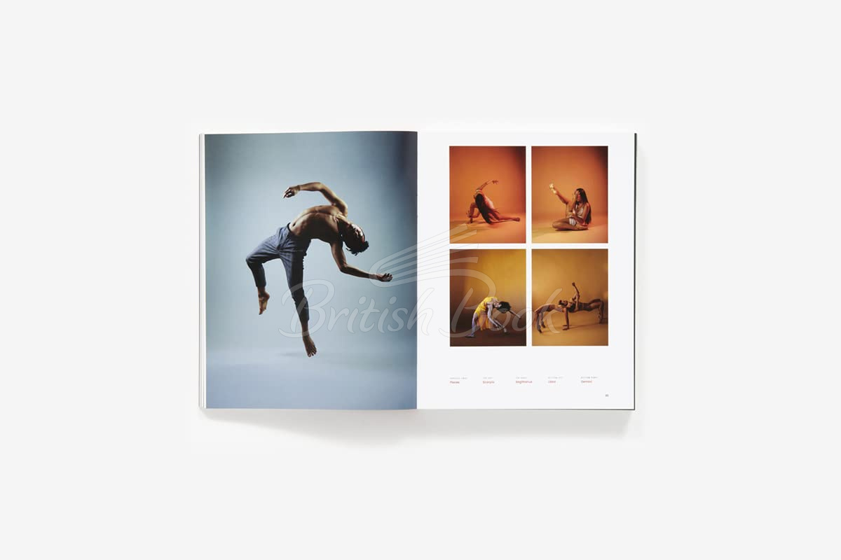 Книга Dance Vision: Dance Through the Eyes of Today's Artists изображение 4