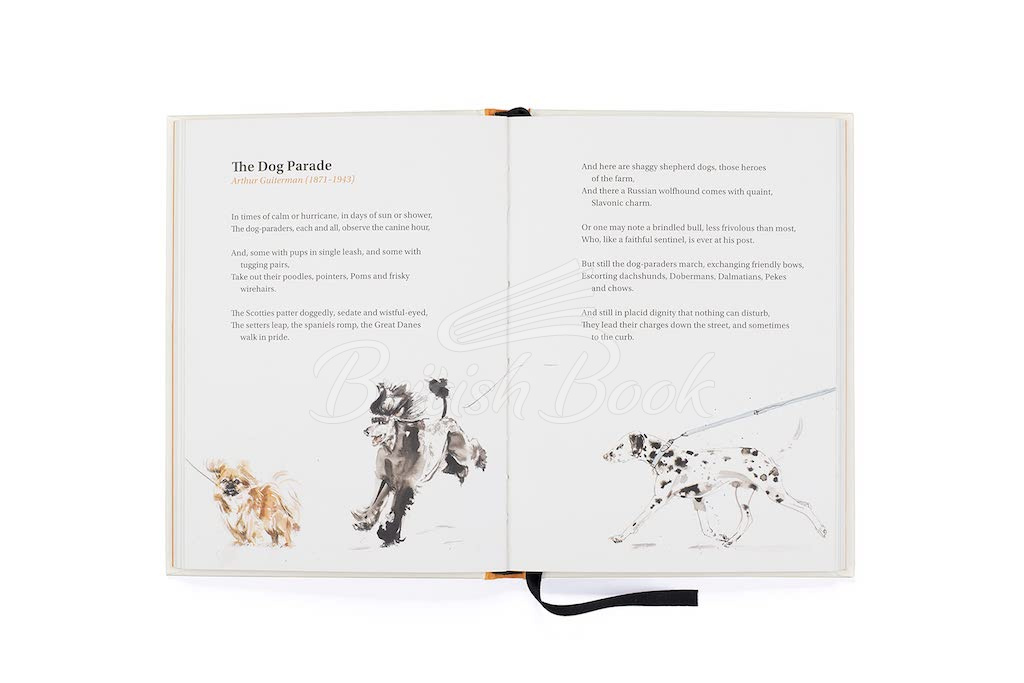 Книга The Book of Dog Poems изображение 4