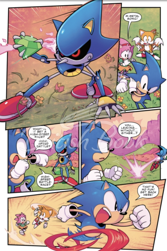 Книга Sonic the Hedgehog (30th Anniversary Deluxe Edition) изображение 1