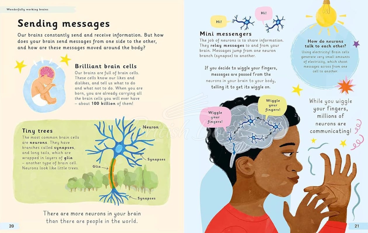 Книга Wonderfully Wired Brains изображение 2