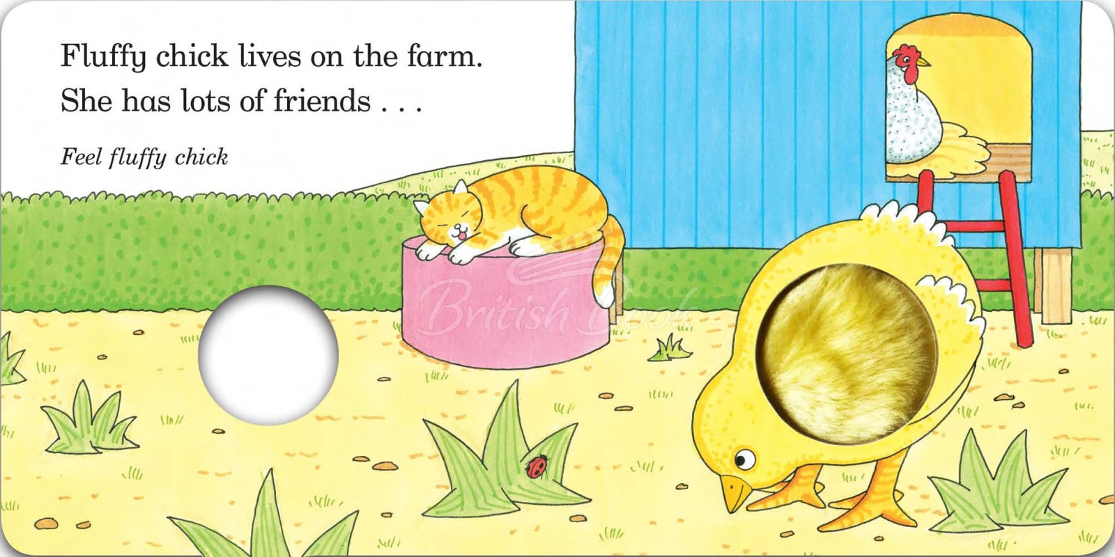 Книга Fluffy Chick зображення 1