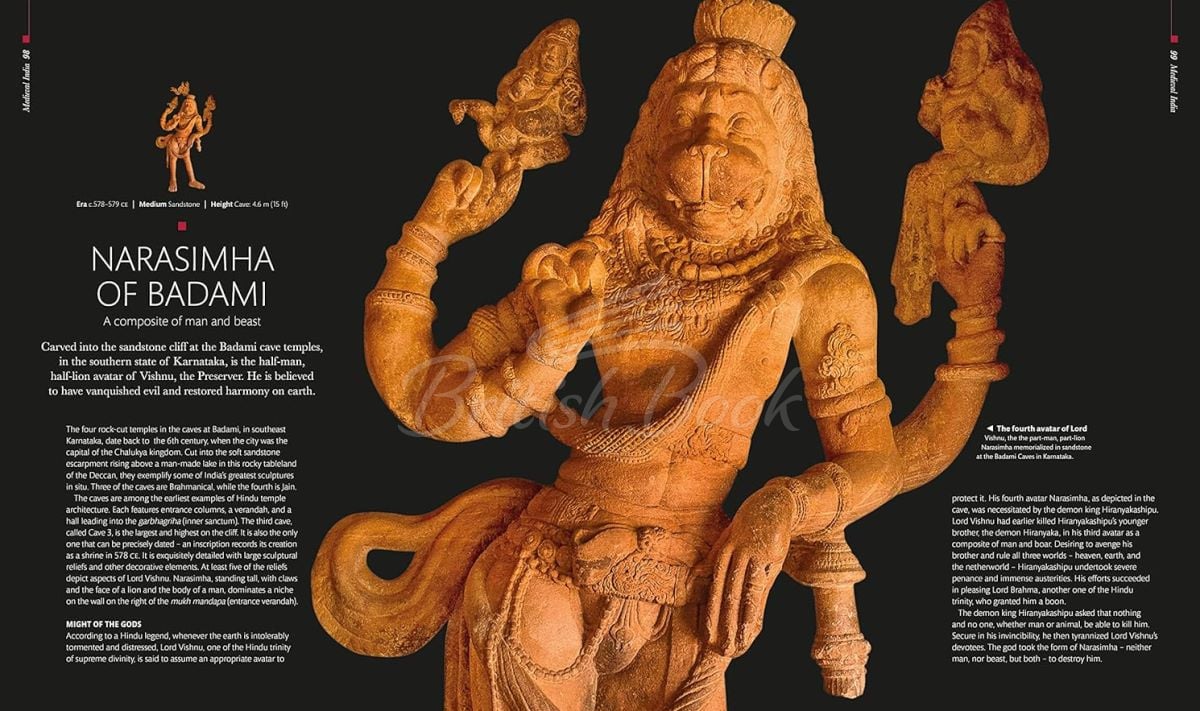 Книга Treasures of India зображення 8