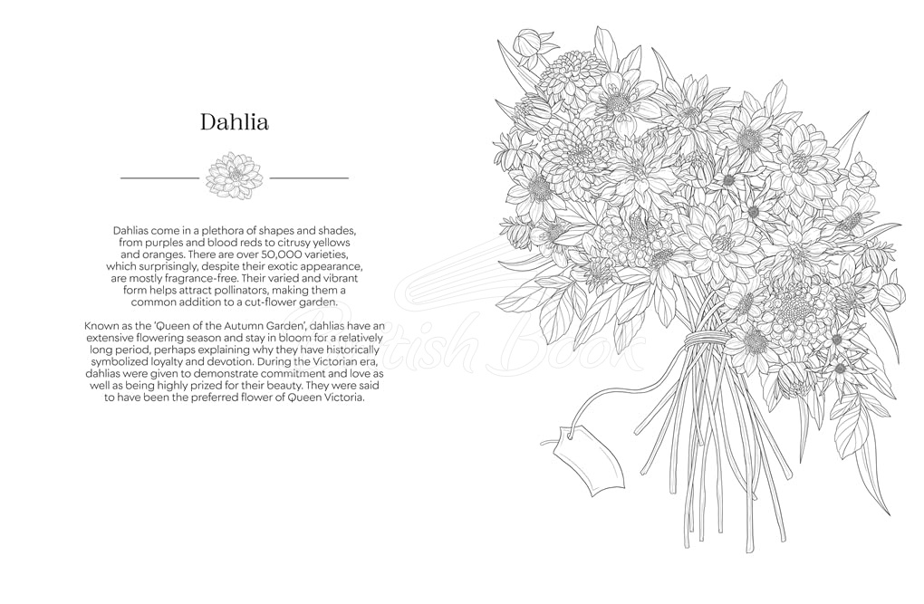 Книга The Language of Flowers Colouring Book: Botanicals from Around the World and their Meanings изображение 2