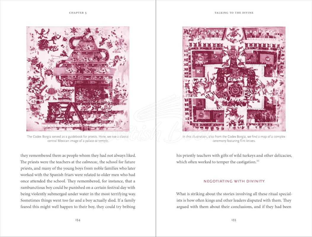 Книга The Aztec Myths: A Guide to the Ancient Stories and Legends изображение 7