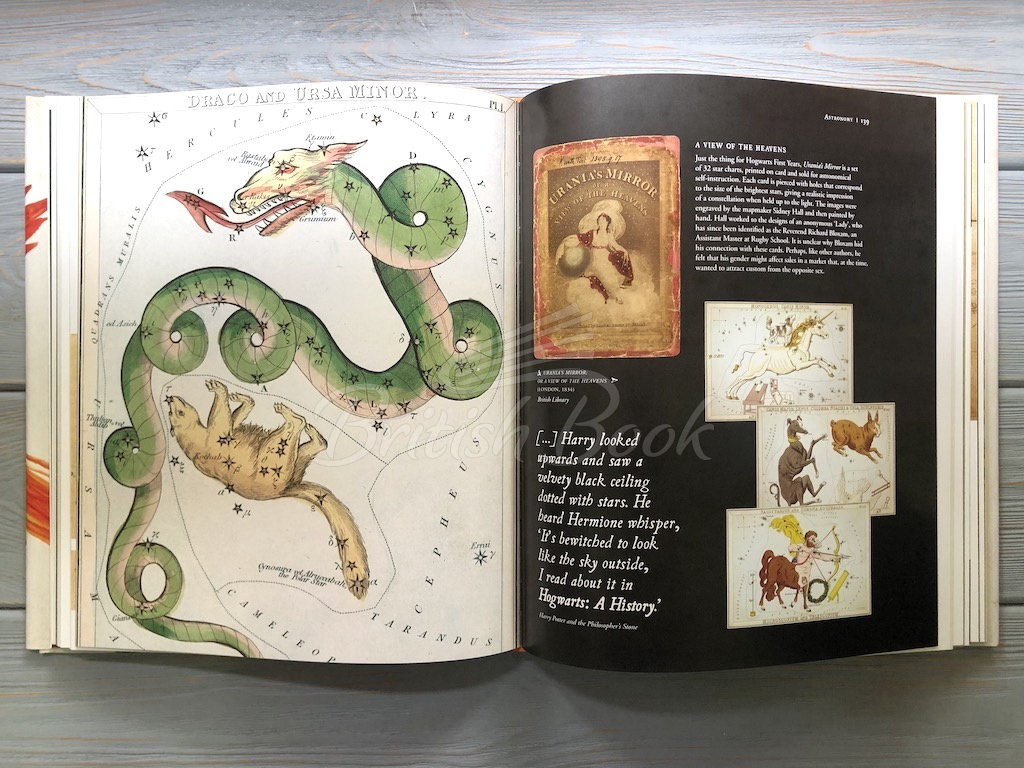 Книга Harry Potter: A History of Magic – The Book of the Exhibition изображение 13