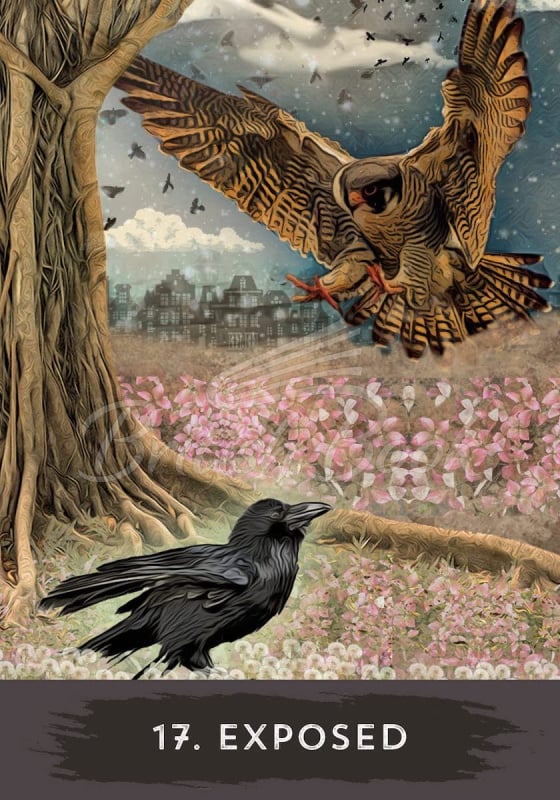 Карти таро Urban Crow Oracle зображення 6