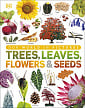 Our World in Pictures: Trees, Leaves, Flowers and Seeds