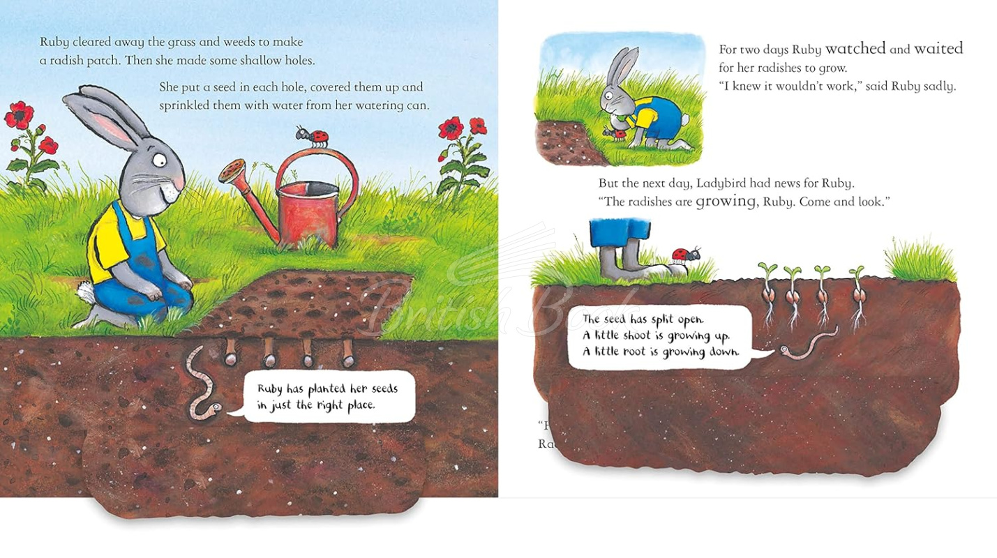 Книга National Trust: Ruby Plants a Radish зображення 3