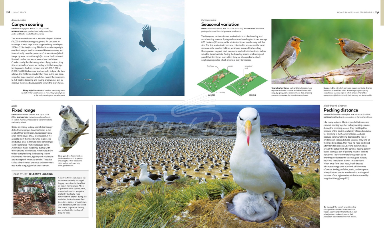 Книга Animal Behaviour: Stories of Instinct, Intelligence and Adaptation зображення 3
