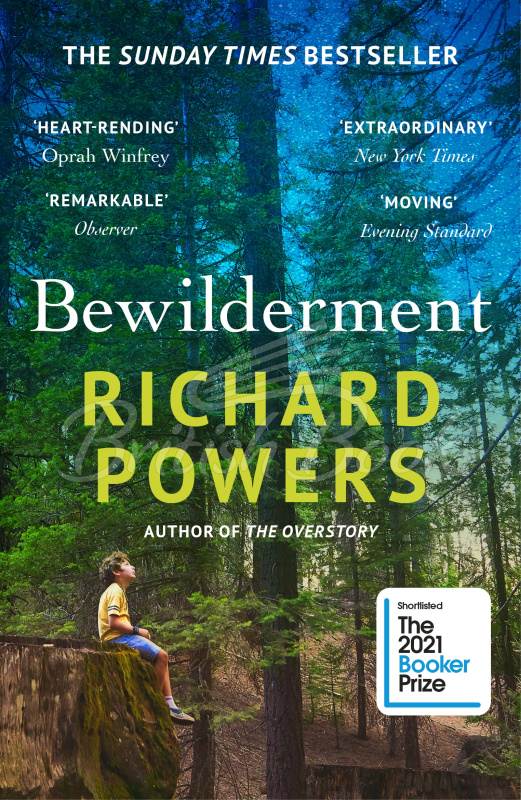 Книга Bewilderment зображення