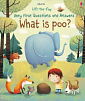Lift-the-Flap Very First Questions and Answers: What is Poo?