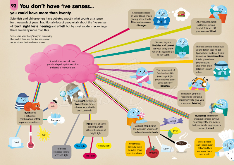 Книга 100 Things to Know About The Human Body изображение 11