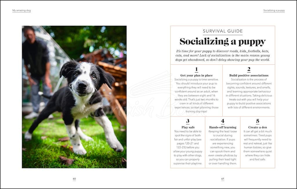 Книга What's My Dog Thinking? изображение 3