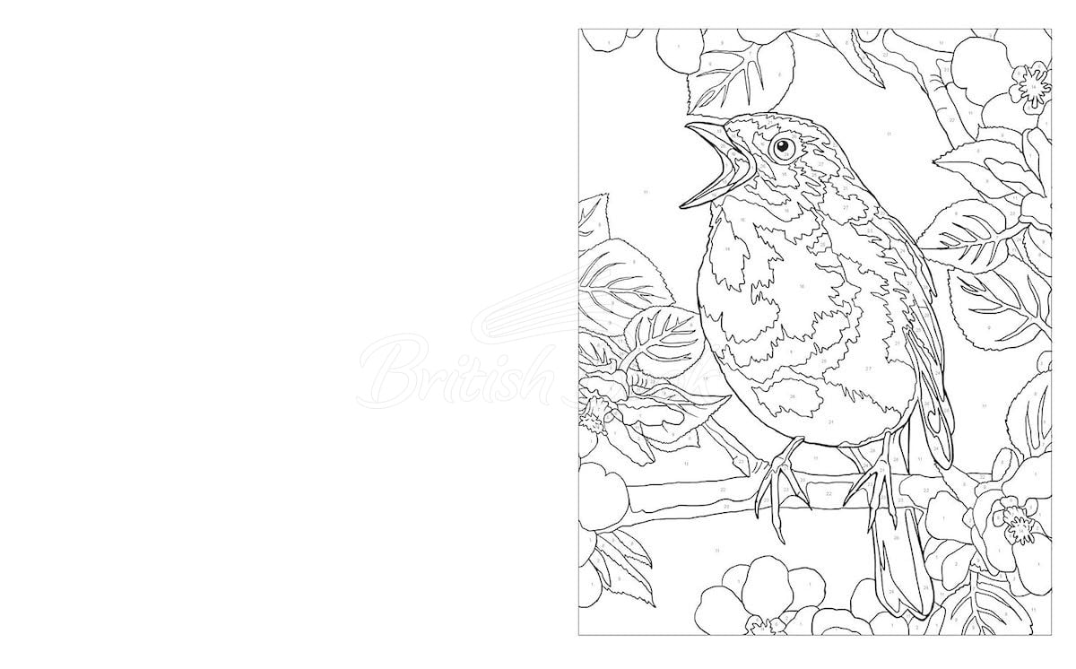 Книга Animal Kingdom Colour by Numbers изображение 4