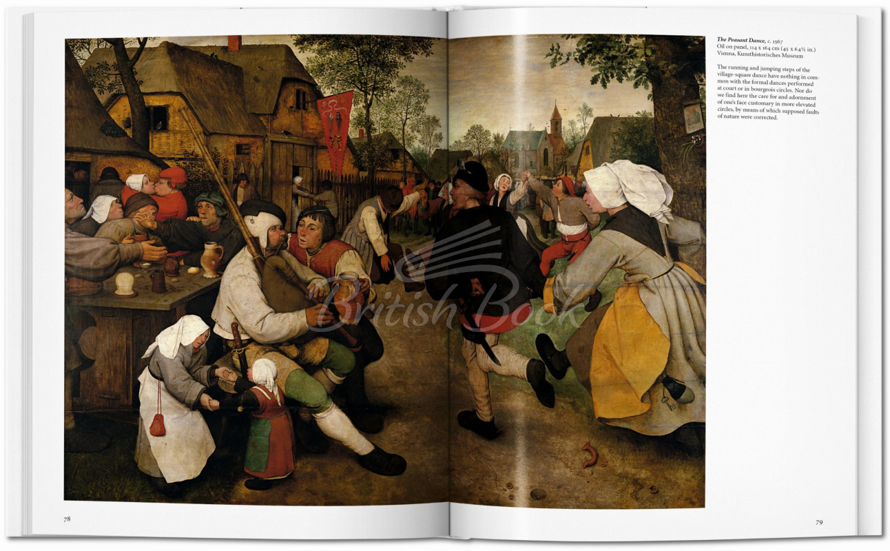 Книга Bruegel зображення 6