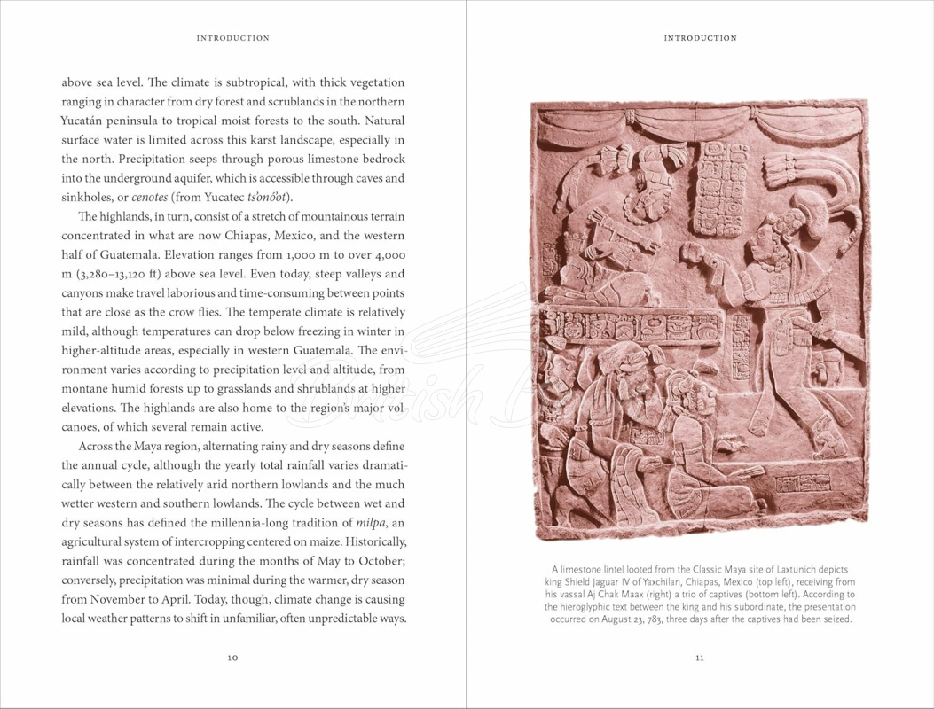 Книга The Maya Myths: A Guide to the Gods, Heroes and Ancestors зображення 4