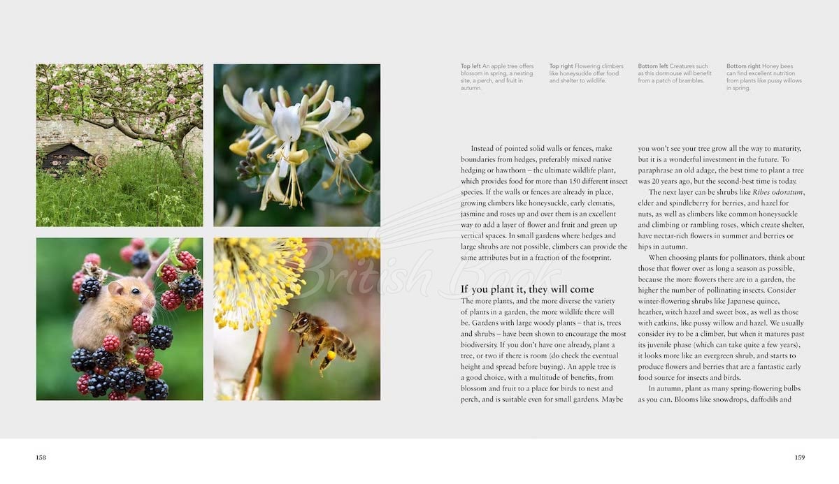 Книга Wild Gardens изображение 10
