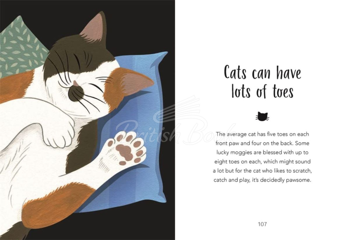 Книга 59 Things You Should Know About Your Cat изображение 4