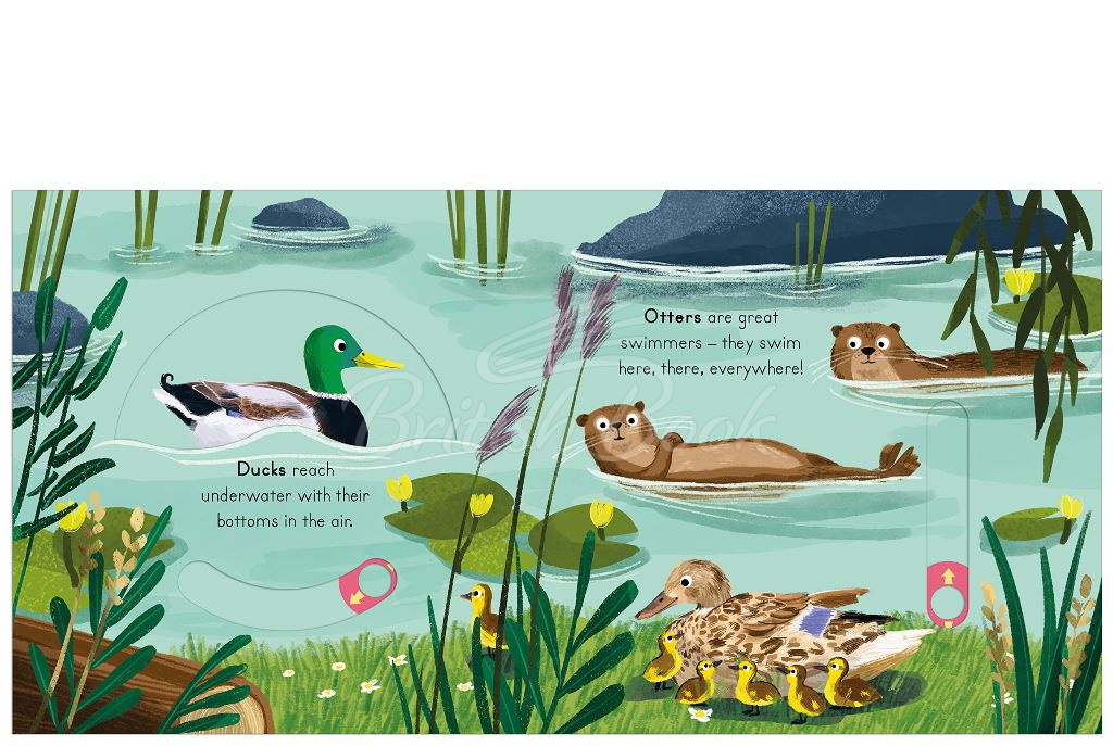 Книга Big Outdoors for Little Explorers: River изображение 2