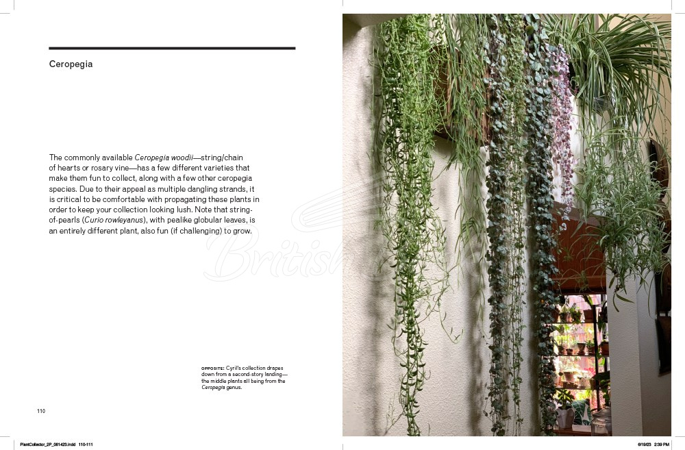 Книга The New Plant Collector зображення 3
