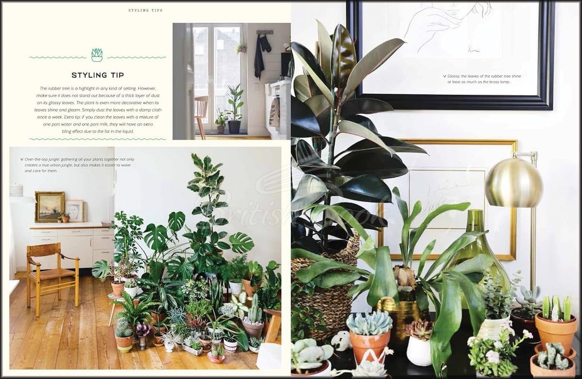 Книга Urban Jungle: Living and Styling with Plants зображення 3