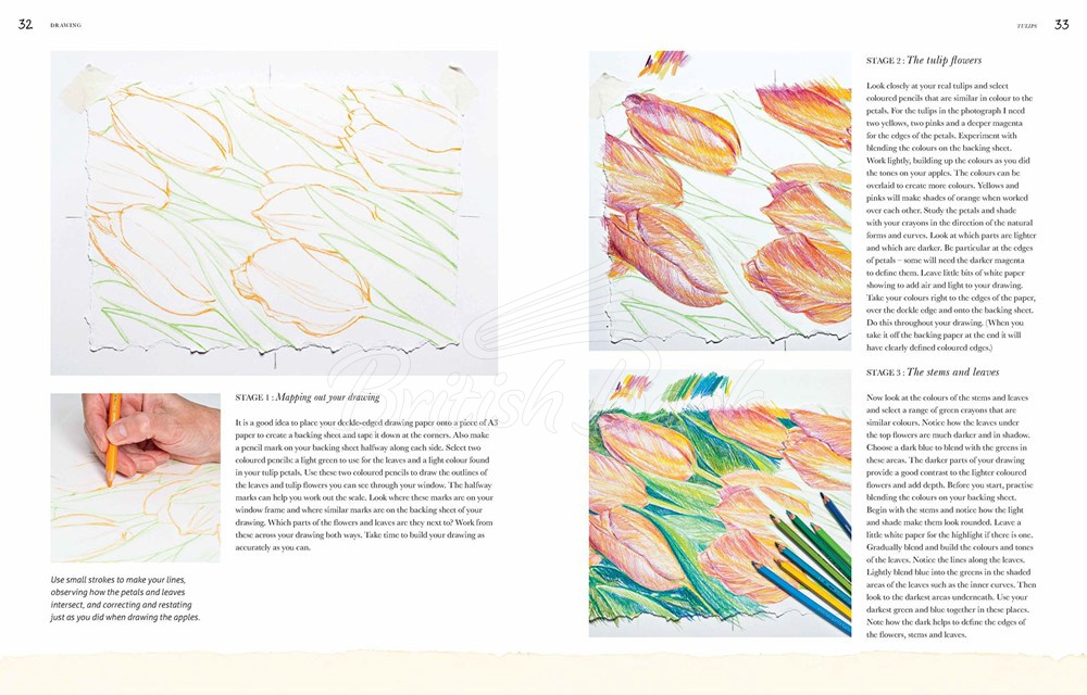 Книга Drawings: Techniques and Tutorials for the Complete Beginner зображення 3