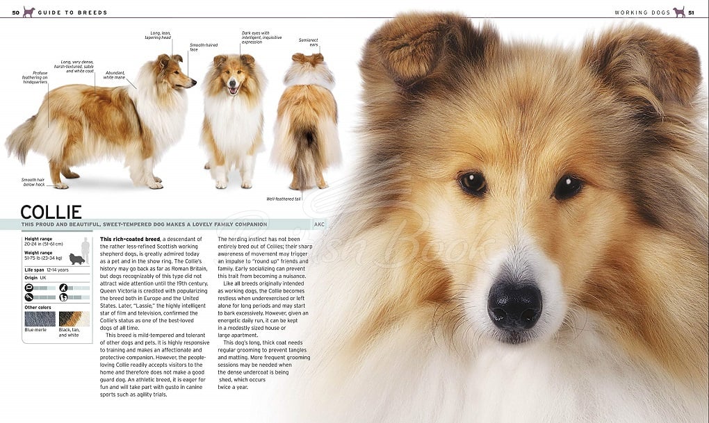 Книга The Complete Dog Breed Book изображение 1