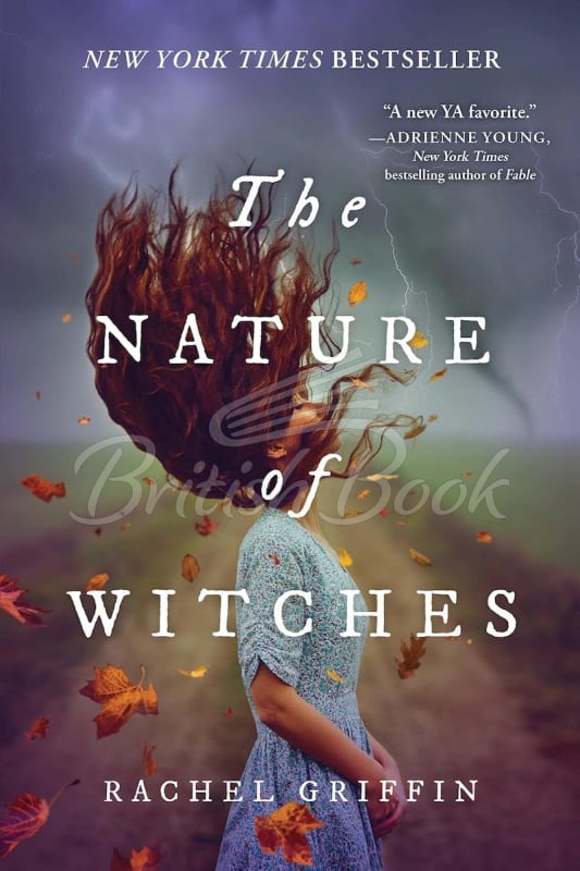 Книга The Nature of Witches изображение