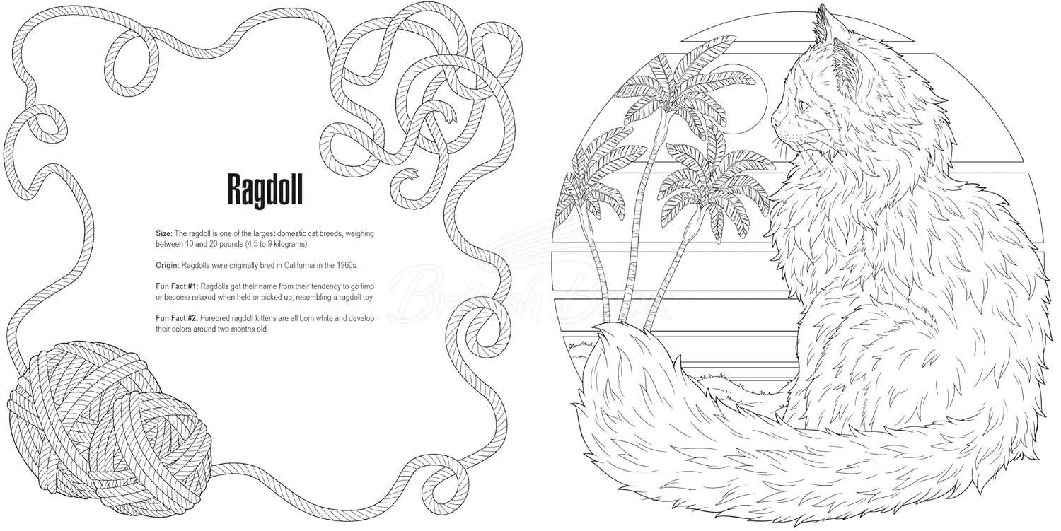 Книга Cats: A Smithsonian Coloring Book зображення 2