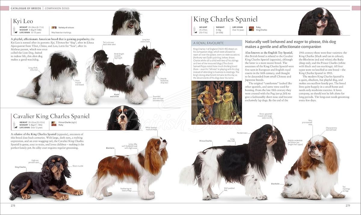 Книга The Dog Encyclopedia изображение 8