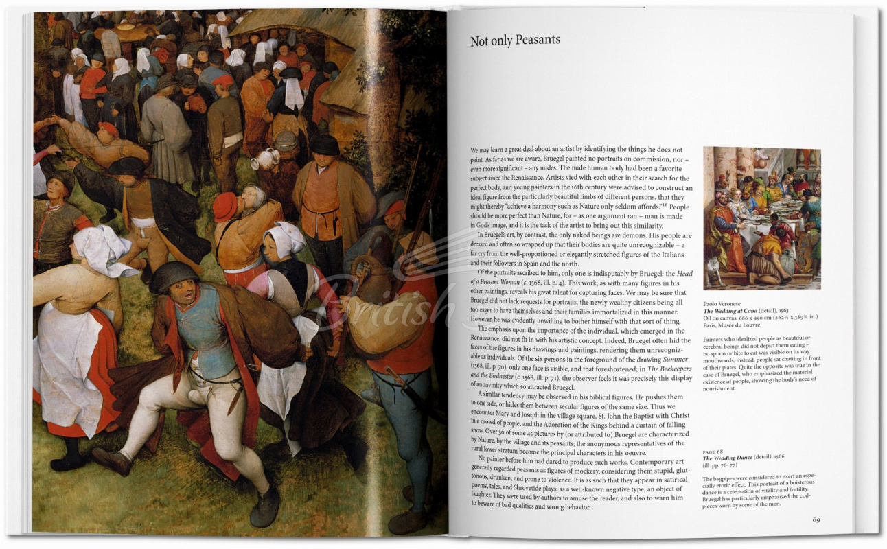 Книга Bruegel зображення 4