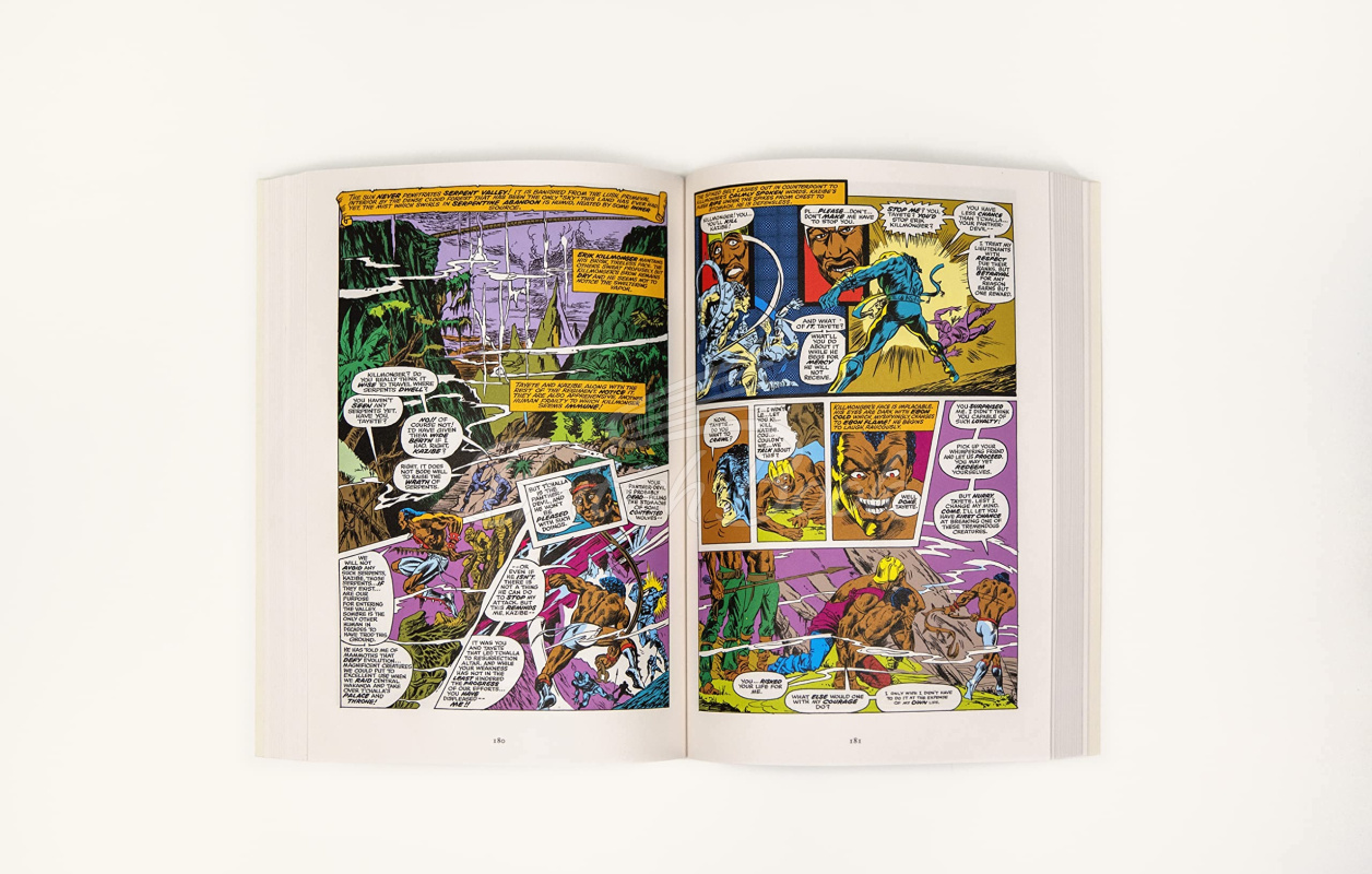Книга Black Panther зображення 3