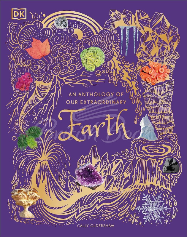 Книга An Anthology of Our Extraordinary Earth зображення