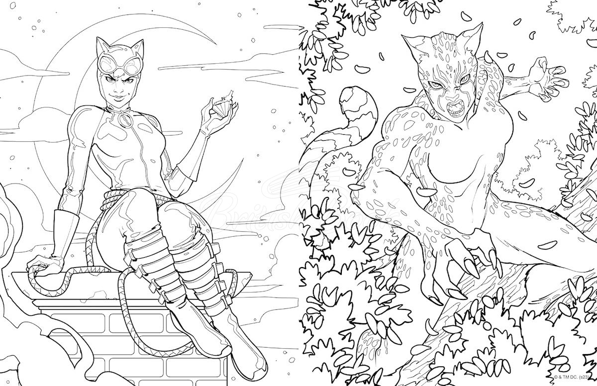 Книга DC Super-Villains: The Official Colouring Book зображення 4