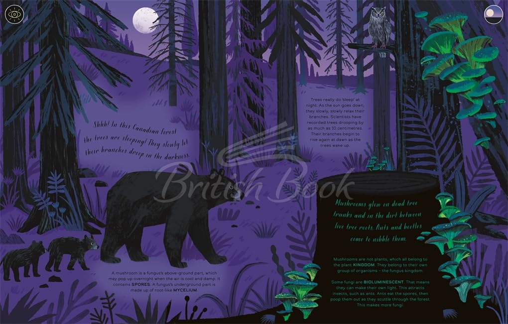 Книга Day and Night (with Glow-in-the-Dark pages) зображення 4