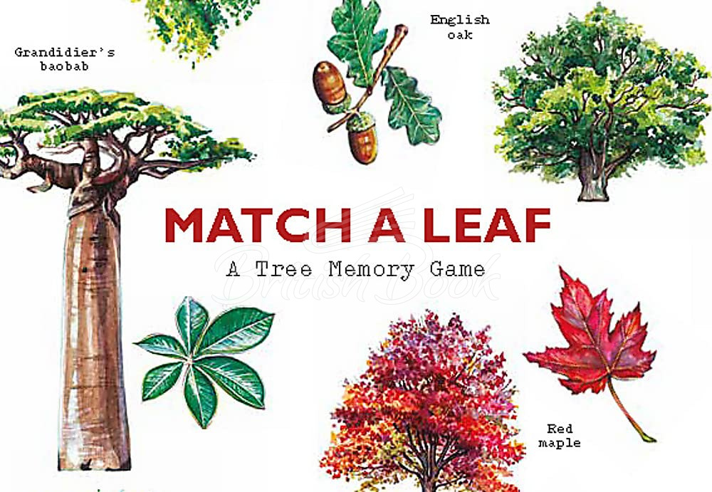 Карткова гра Match a Leaf: A Memory Game зображення