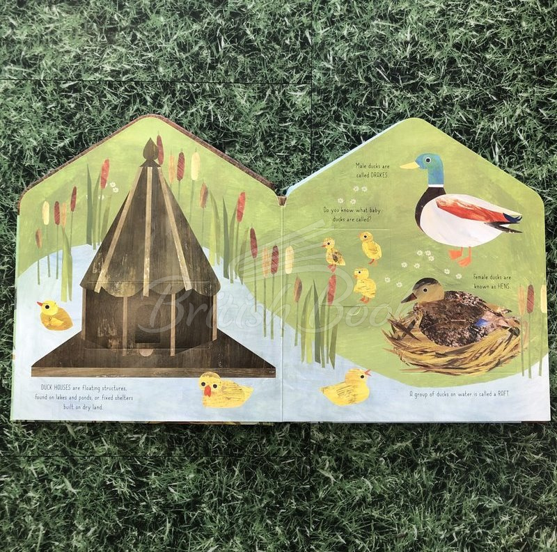 Книга Bird House изображение 3