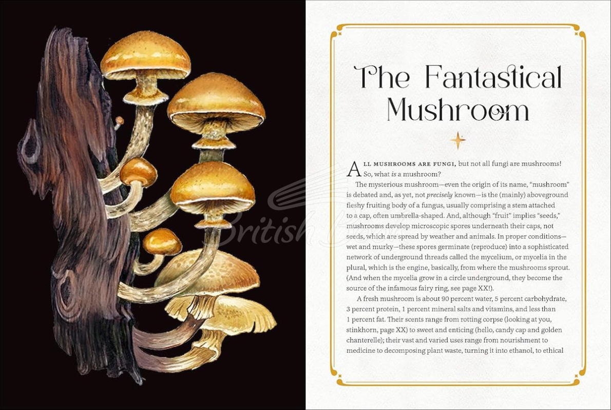 Книга Mystical Mushrooms изображение 1