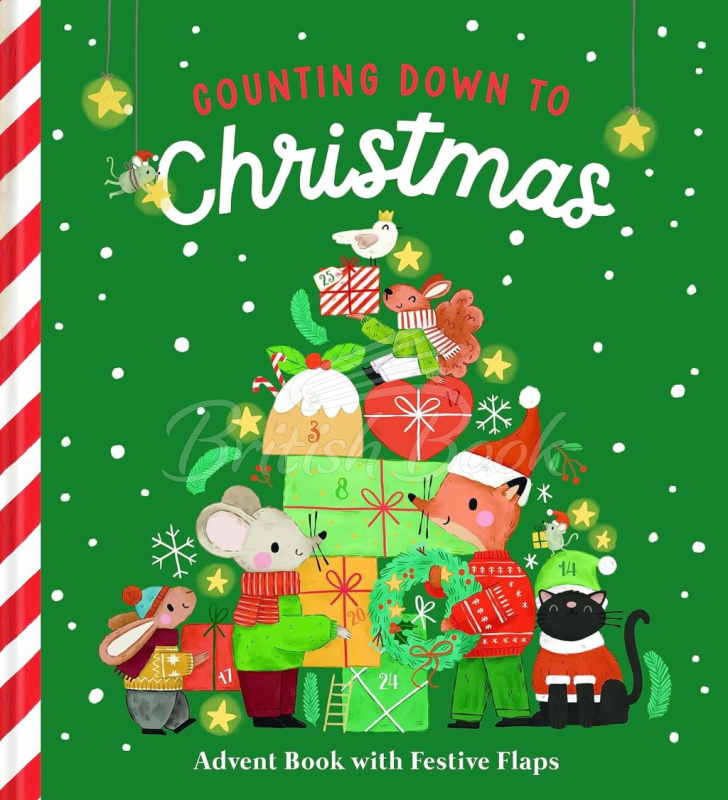 Книга Counting Down to Christmas зображення