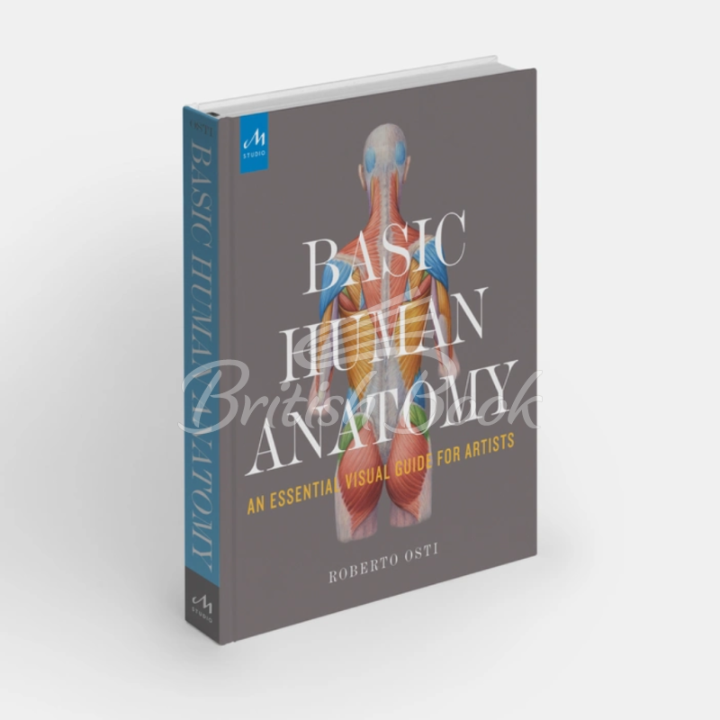 Книга Basic Human Anatomy: An Essential Visual Guide for Artists изображение 1