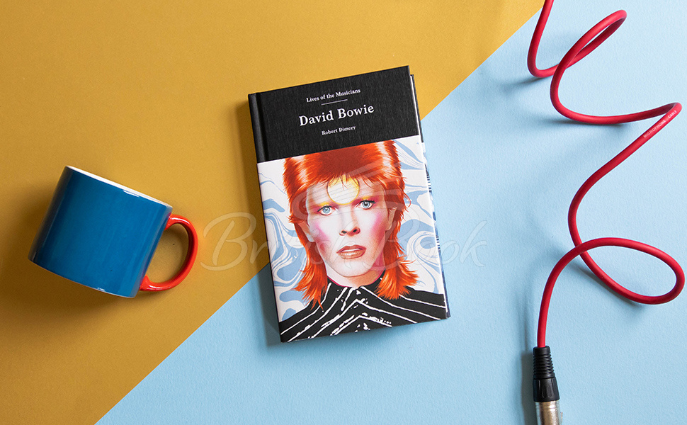 Книга Lives of the Musicians: David Bowie зображення 1
