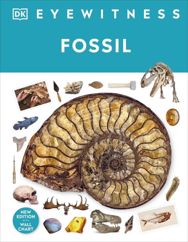 Книга Fossil изображение