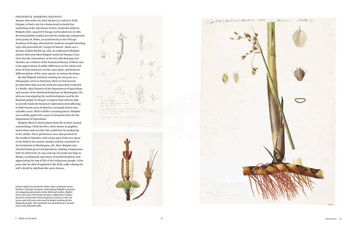 Книга Botanical Sketchbooks изображение 3