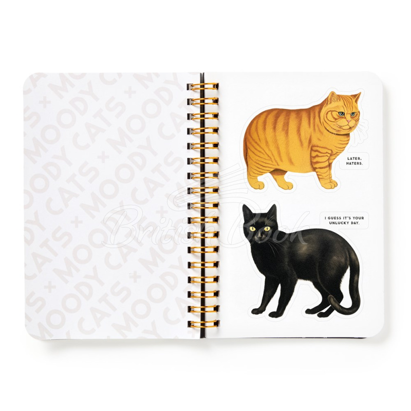 Стікербук Moody Cats Sticker Book зображення 4