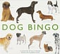 Dog Bingo