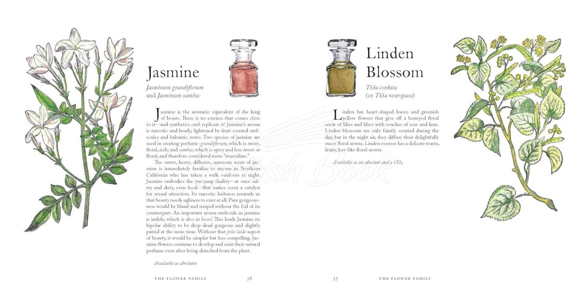 Книга The Museum of Scent: Exploring the Curious and Wondrous World of Fragrance изображение 7