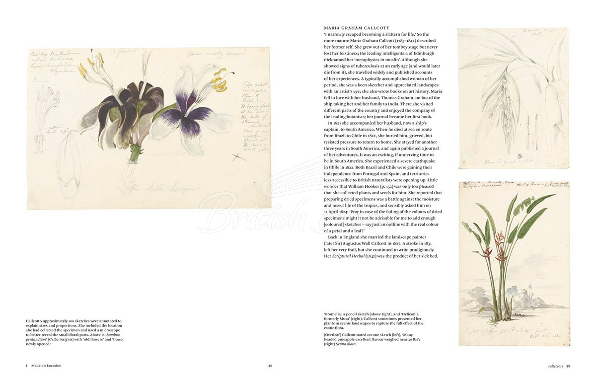 Книга Botanical Sketchbooks изображение 4