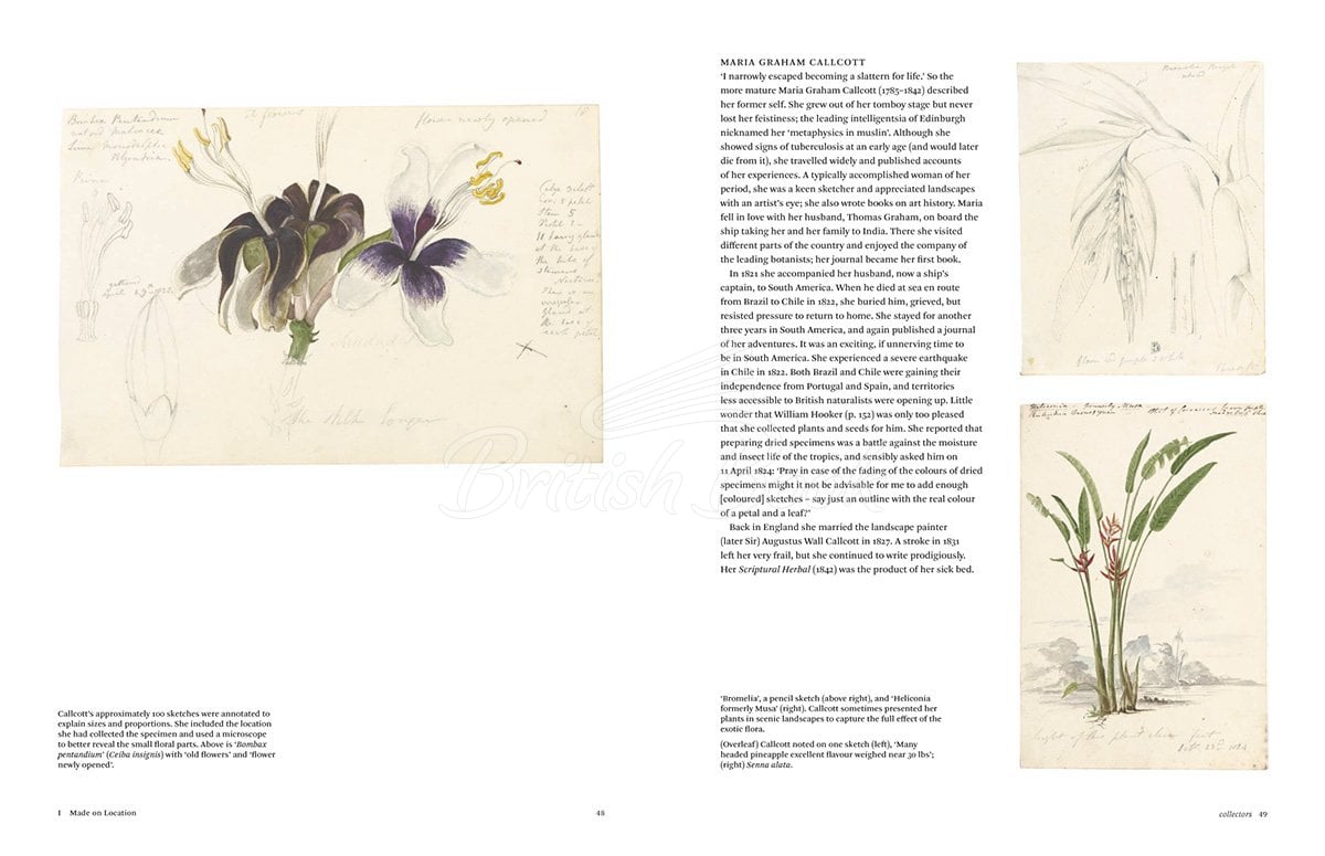 Книга Botanical Sketchbooks изображение 4